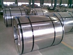 Hot dipped galvanized coil