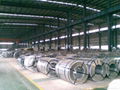 Hot dipped galvanized coil