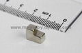 Neodymium iron boron NdFeb Rare Earth Magnet 1