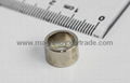 Neodymium iron boron NdFeb Rare Earth Magnet 5