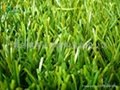 银川市人工草坪