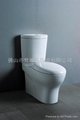 siphon vortex integral sitting wc pan