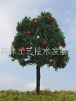 模型果樹 4
