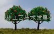 模型果樹 5