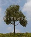 model  tree 4