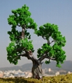 Simulation of trees 1