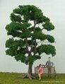 model  tree