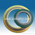 Spiral wound gasket 