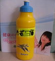 LDPE water bottle 