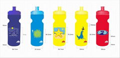 Sport water bottle