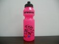 Travel water bottle with nozzle 