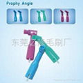 prophy angle