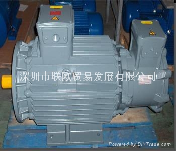 CEMP雙速小功率防爆電機 3