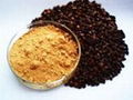 Buckwheat flavonoids 1