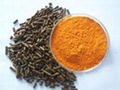 Marigold Flower Extract/LUTEIN/XANTHOPHYLLS