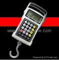 Multi-Functional l   age/hook Scale DG01A