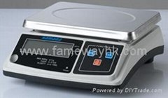 Table Weighing Scale (DW01)