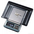 Digital Precision scale Mini Balance scale BL01 2