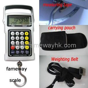 Multi-Functional l   age/hook Scale DG01A 2