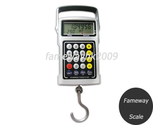 Multi-Functional l   age/hook Scale DG01A 3