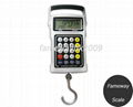 Multi-Functional luggage/hook Scale DG01A