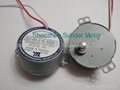 Reversible Synchronous Motor SD-205 2