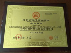 Shenzhen Songgang Technology Co.,Ltd.