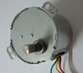 AC Synchronous Motor for Mincer Mini Electric Motor