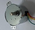 AC Synchronous Motor for Mincer Mini Electric Motor