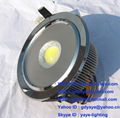 20W LED Downlight Ceiling Light Spotlight