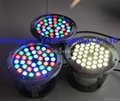 1W-36W LED Swimming Pool Light RGB LED Fountain Light Lamp with Warranty 2 Year 