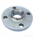 stainless steel flange