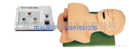成人气管插管演示模型，气管插管模型 2