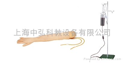 血压测量手臂训练模型 4