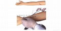 血压测量手臂训练模型 5