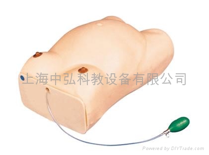 电脑腹部触诊模型，孕妇检查模型 2