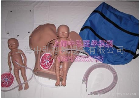 高级妇科检查训练模型 2