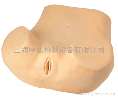 高級婦科檢查訓練模型 4