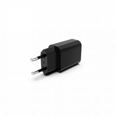 CP0108 EU plug charger