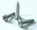 pan(csk) phillips self-drilling screw 2