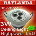 LED Ceiling Lamp (RL-CLW3)