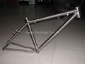 Titanium Bike Frame & Parts 1