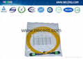 MTP 12core Fiber optic patch cord 2