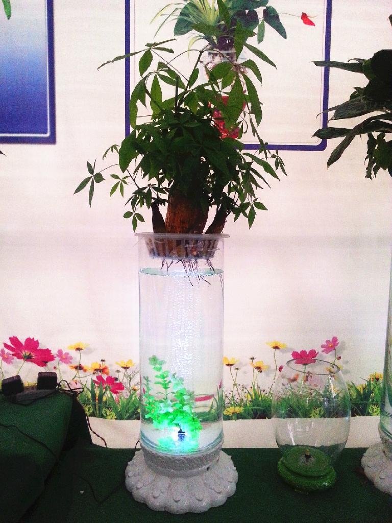 新型专利水培花卉玻璃花瓶 3