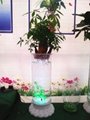 新型專利水培花卉玻璃花瓶 3