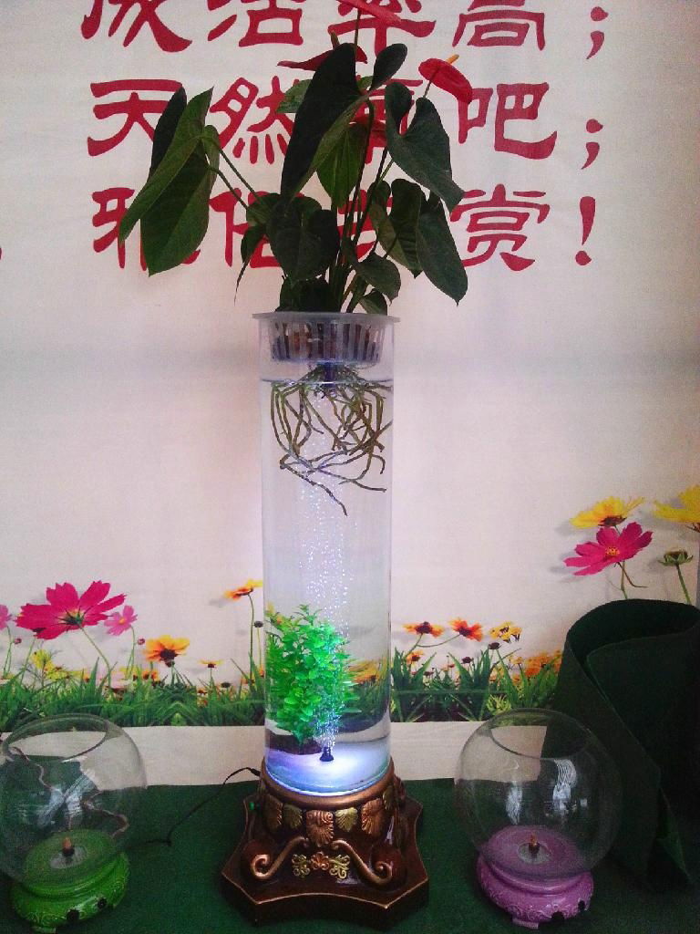 新型专利水培花卉玻璃花瓶 4