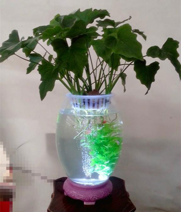 水培花卉陶瓷花瓶