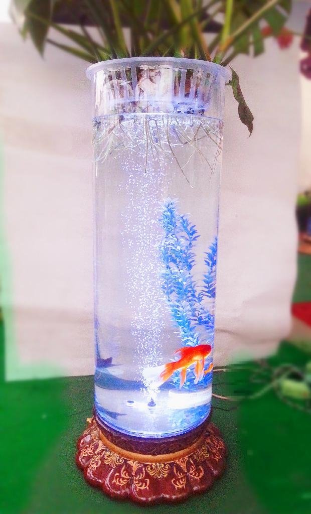 水培花卉陶瓷花瓶 2