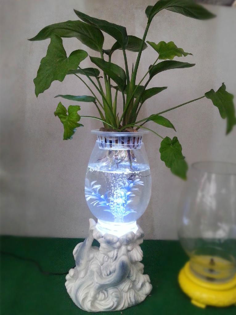 水培花卉陶瓷花瓶 3