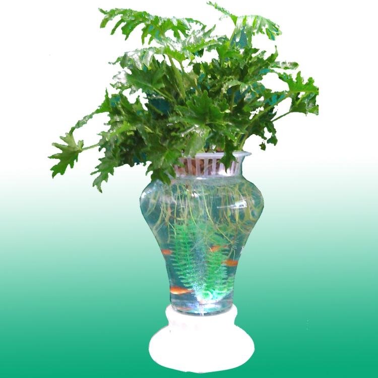 水培花卉陶瓷花瓶 4